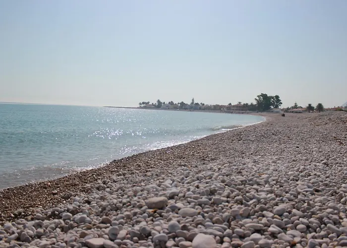 044 Olivar - Fresa Denia