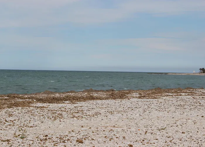 044 Olivar - Fresa Βίλα